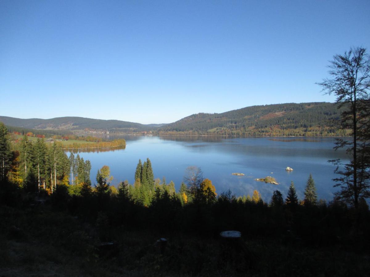 Haus Steininger Διαμέρισμα Schluchsee Εξωτερικό φωτογραφία